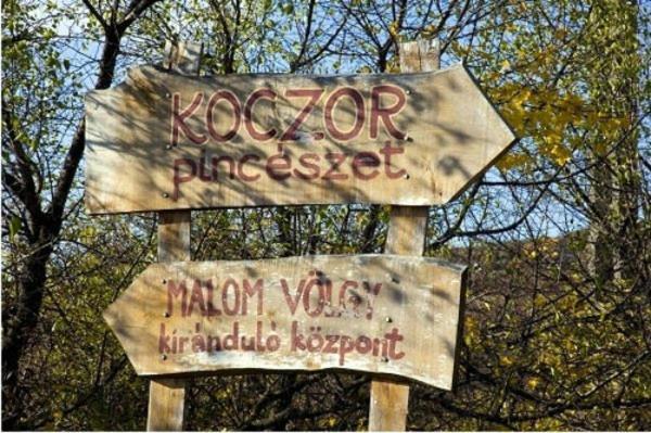 Koczor Winery & Guesthouse 블로톤퓌레드 외부 사진