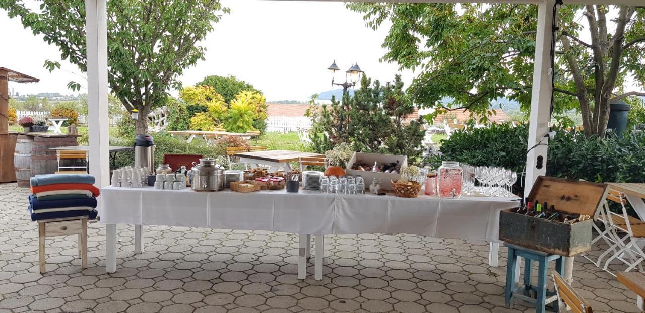 Koczor Winery & Guesthouse 블로톤퓌레드 외부 사진