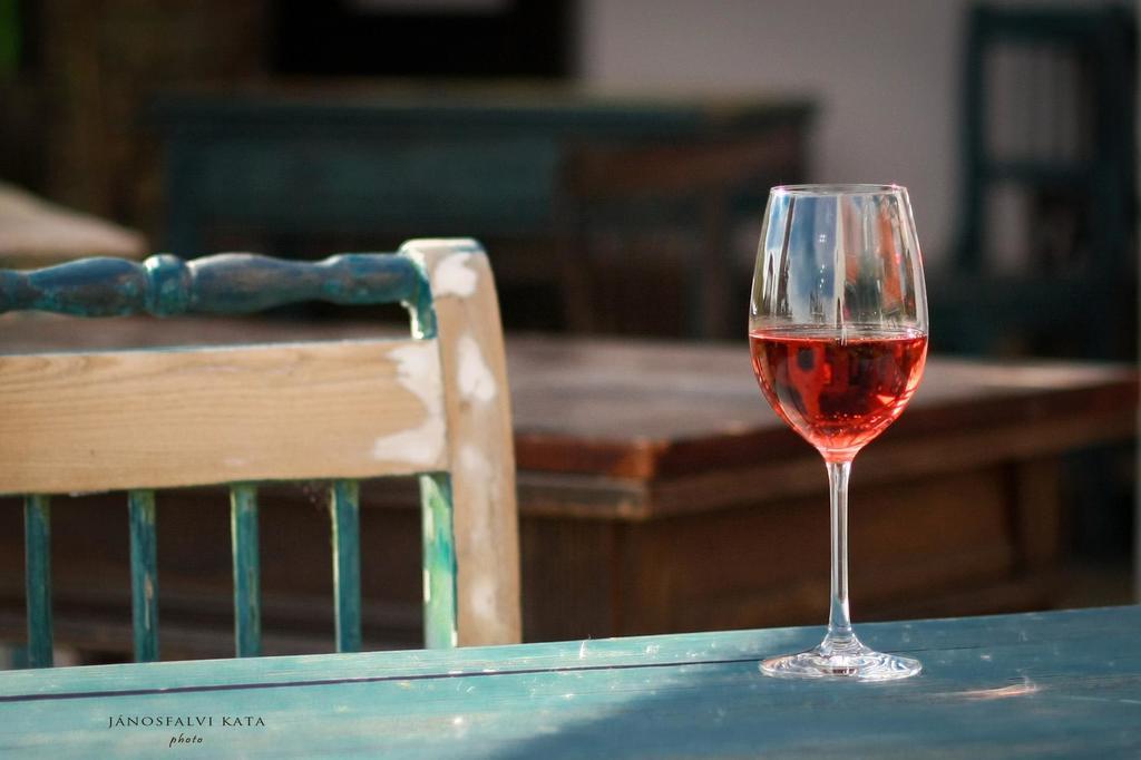 Koczor Winery & Guesthouse 블로톤퓌레드 외부 사진