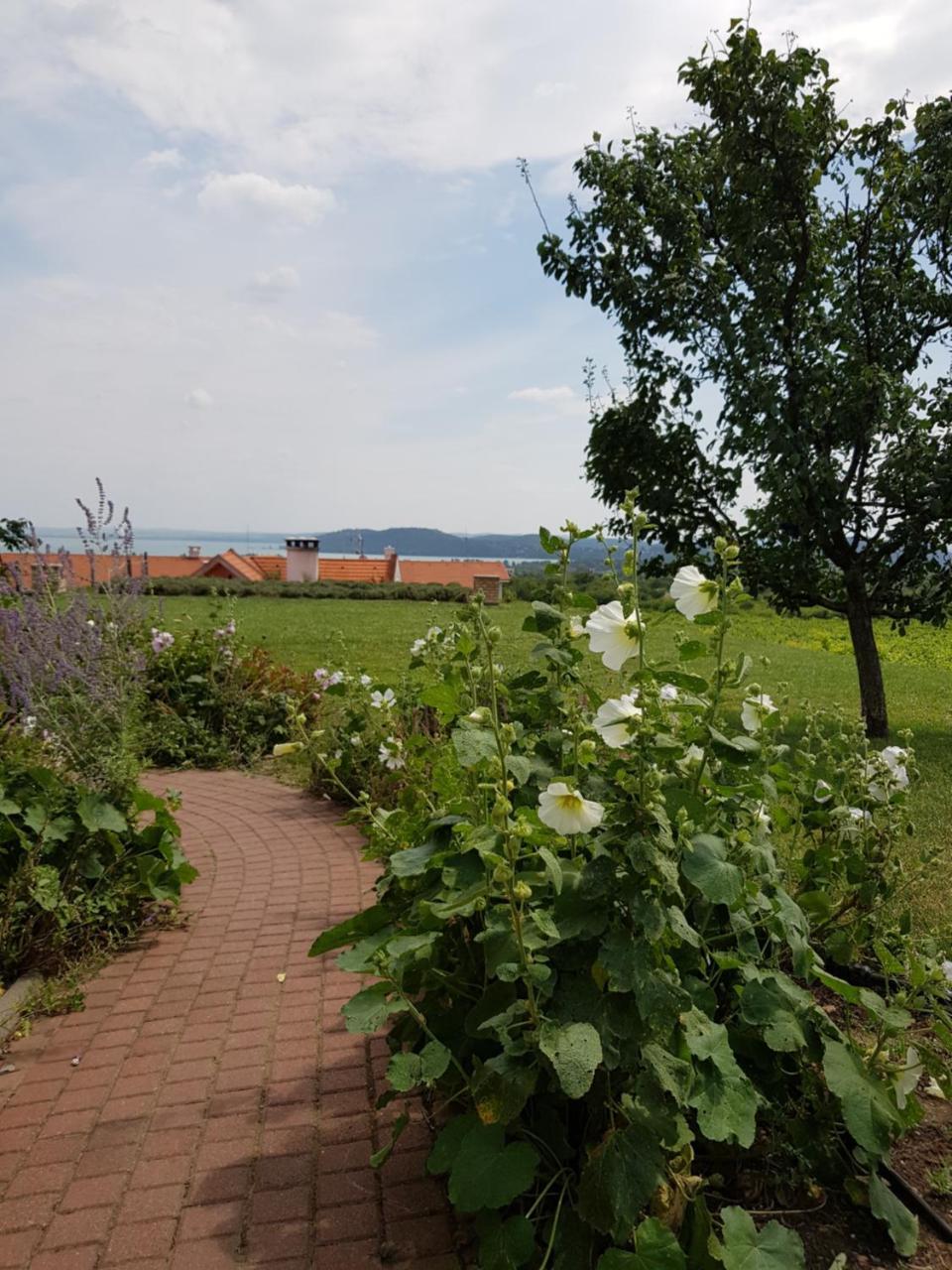 Koczor Winery & Guesthouse 블로톤퓌레드 외부 사진