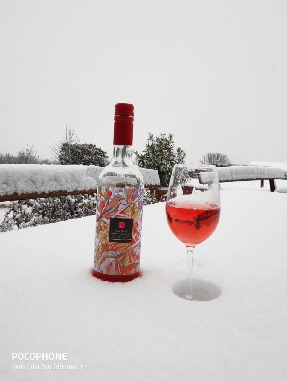 Koczor Winery & Guesthouse 블로톤퓌레드 외부 사진