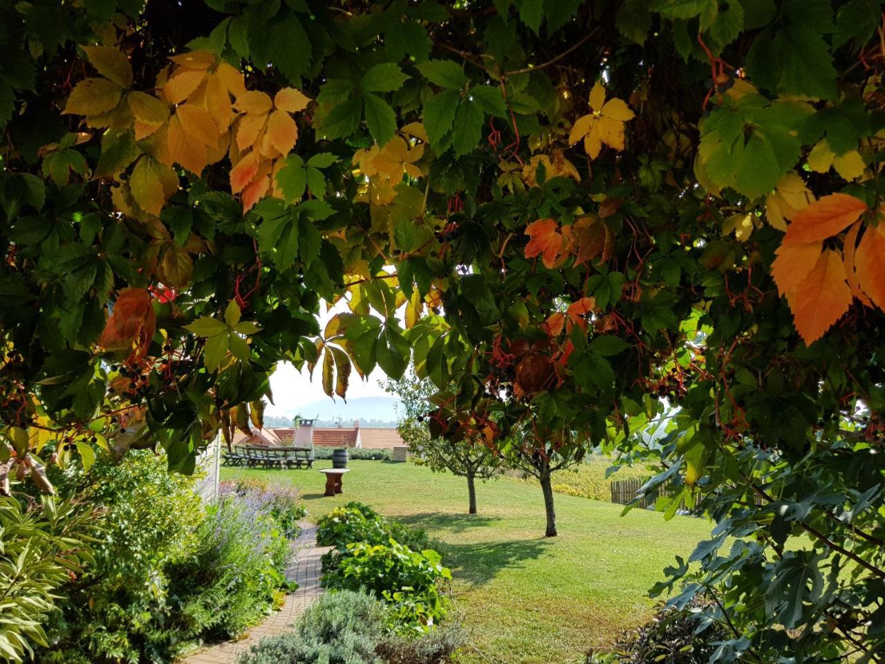 Koczor Winery & Guesthouse 블로톤퓌레드 외부 사진