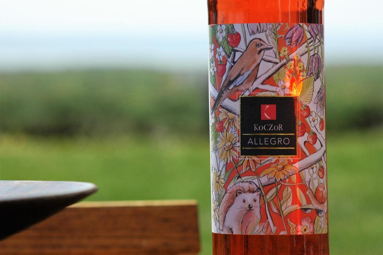 Koczor Winery & Guesthouse 블로톤퓌레드 외부 사진